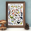 Alexia Claire | Garden Birds of Britain | Postcard | Conscious Craft